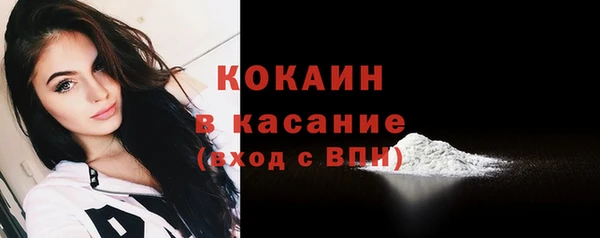 индика Абинск