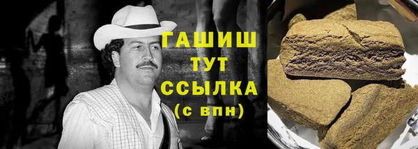 индика Абинск