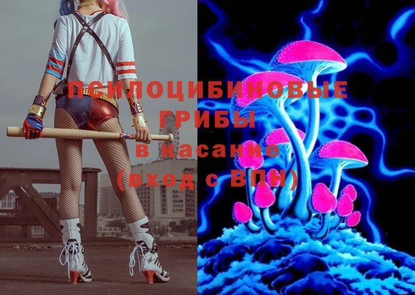 индика Абинск